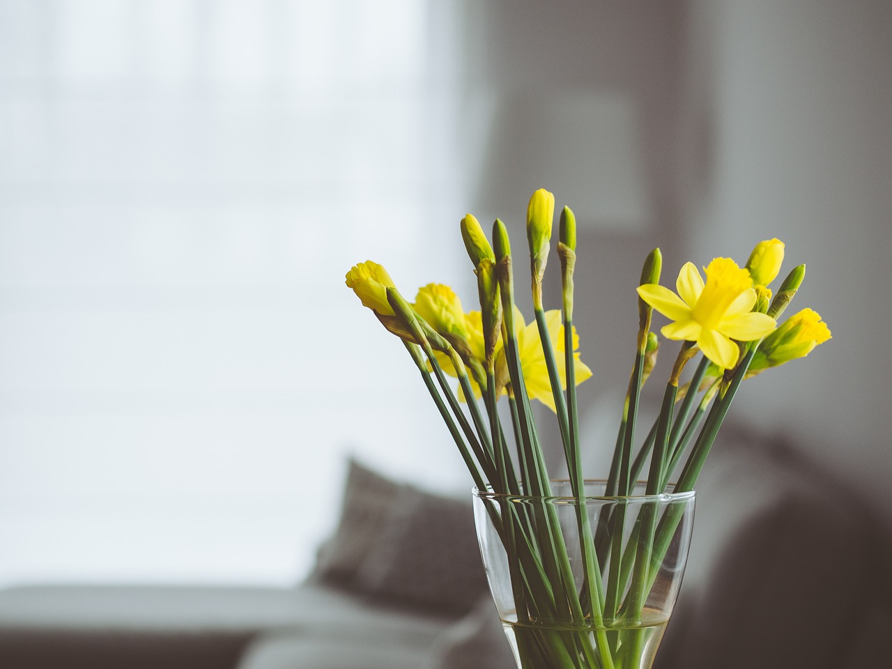 flowers, vase, interior-819361.jpg